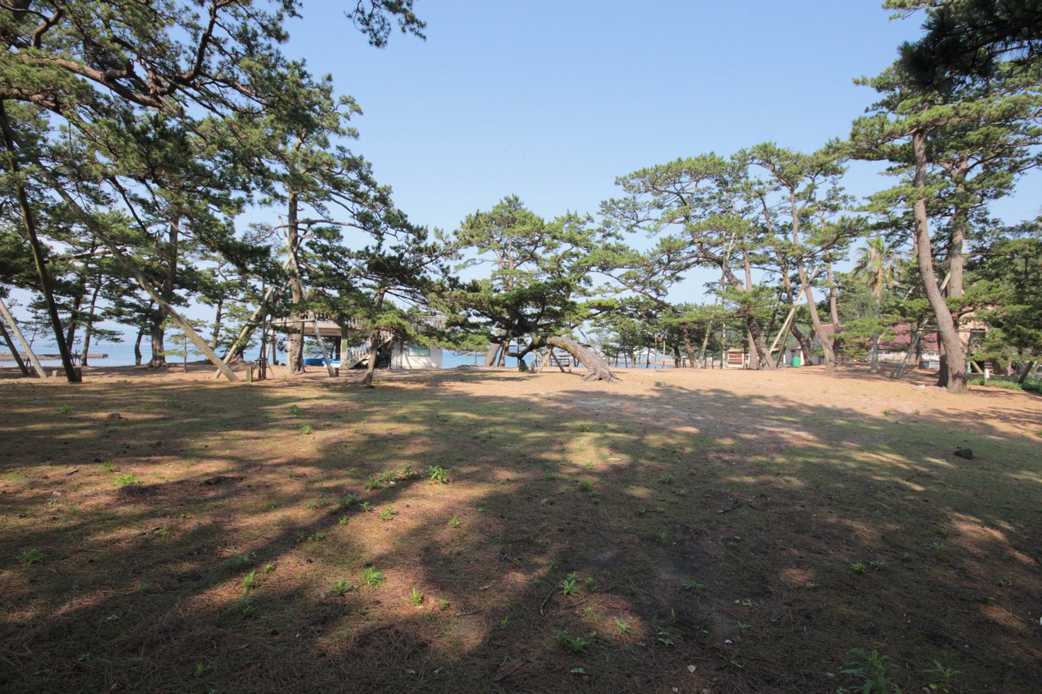 🏝️ 아쿠네 오시마 이미지 3